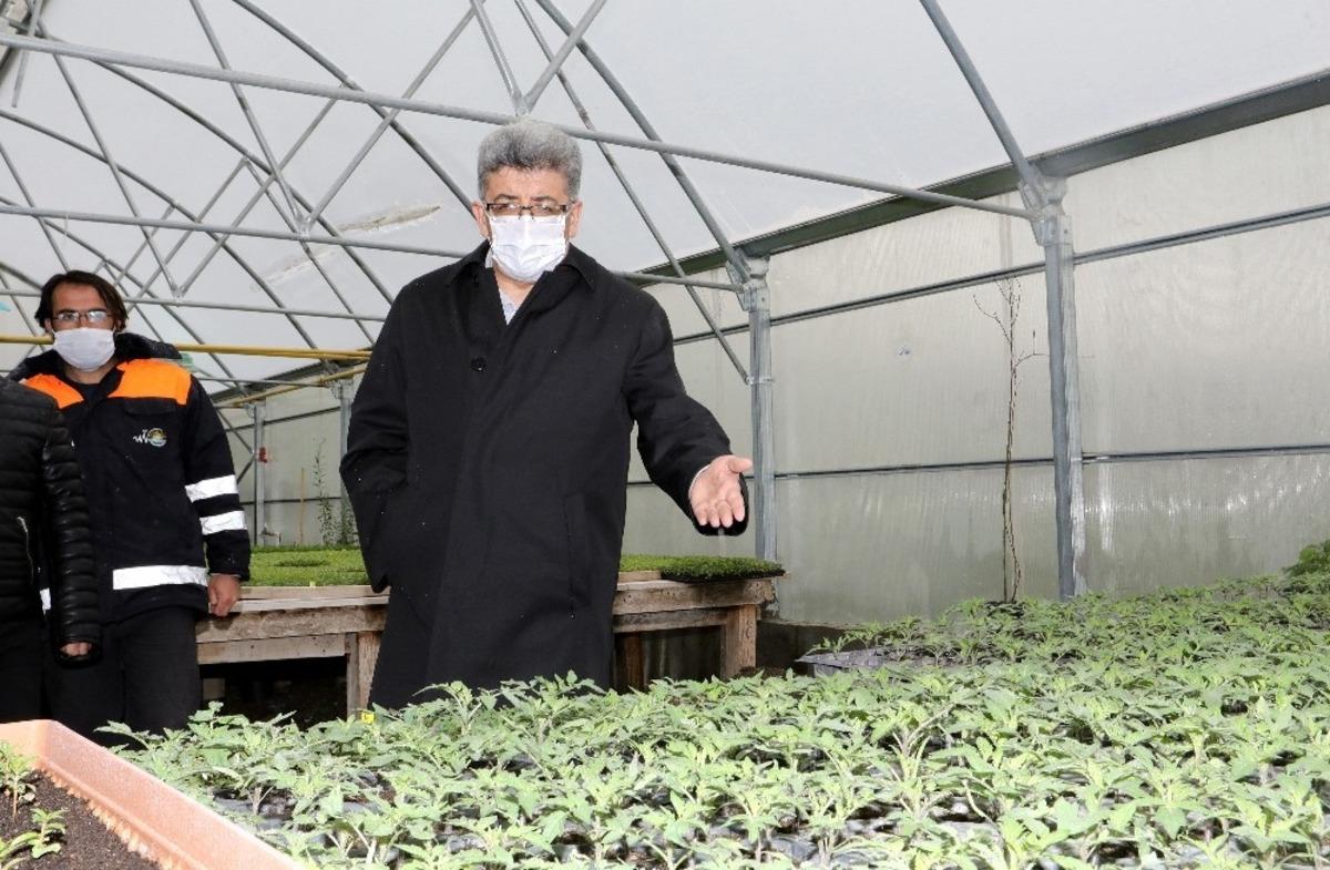 Vali Mehmet Emin Bilmez seralarda incelemelerde bulundu