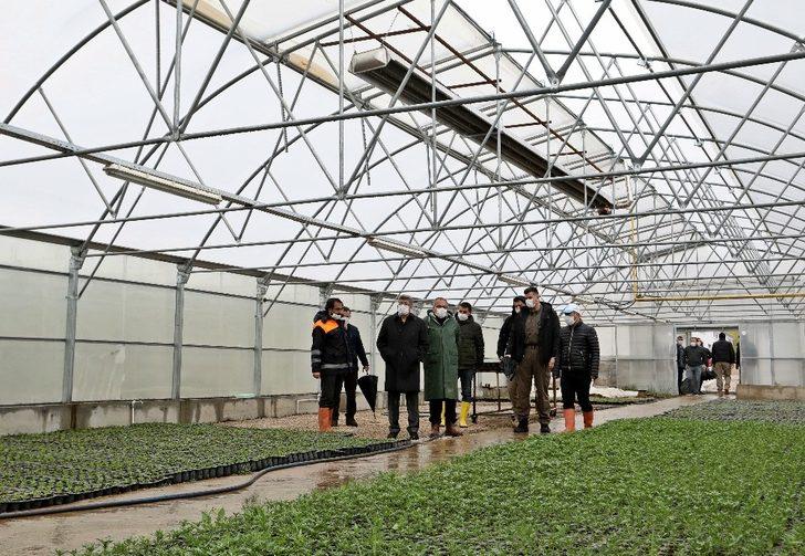 Vali Mehmet Emin Bilmez seralarda incelemelerde bulundu G3