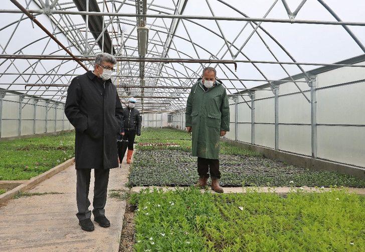 Vali Mehmet Emin Bilmez seralarda incelemelerde bulundu G4