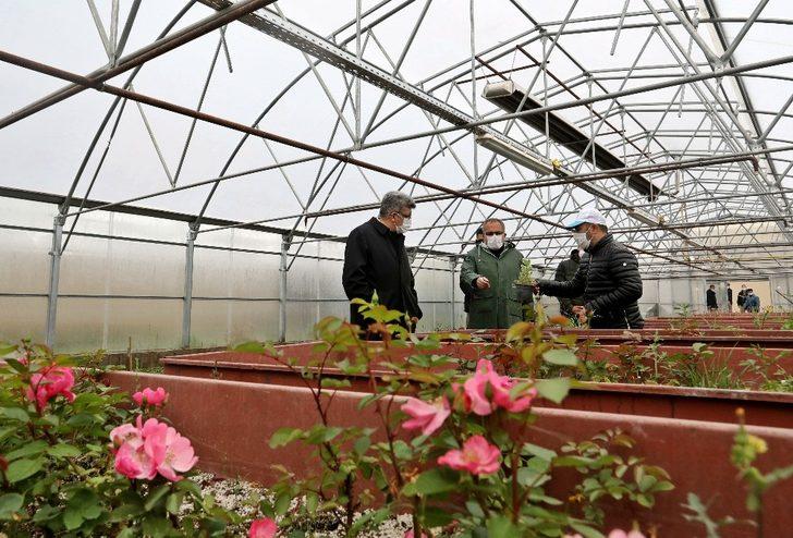 Vali Mehmet Emin Bilmez seralarda incelemelerde bulundu G5