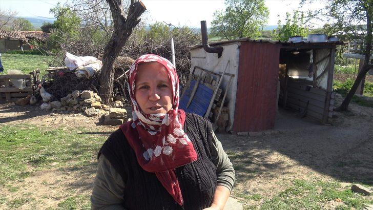 Tekirdağ'da yaralı bulunan şahin tedaviye alındı G2