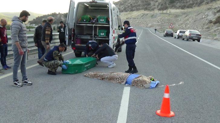 Motosiklet bariyerlere çarptı: 2 ölü G4