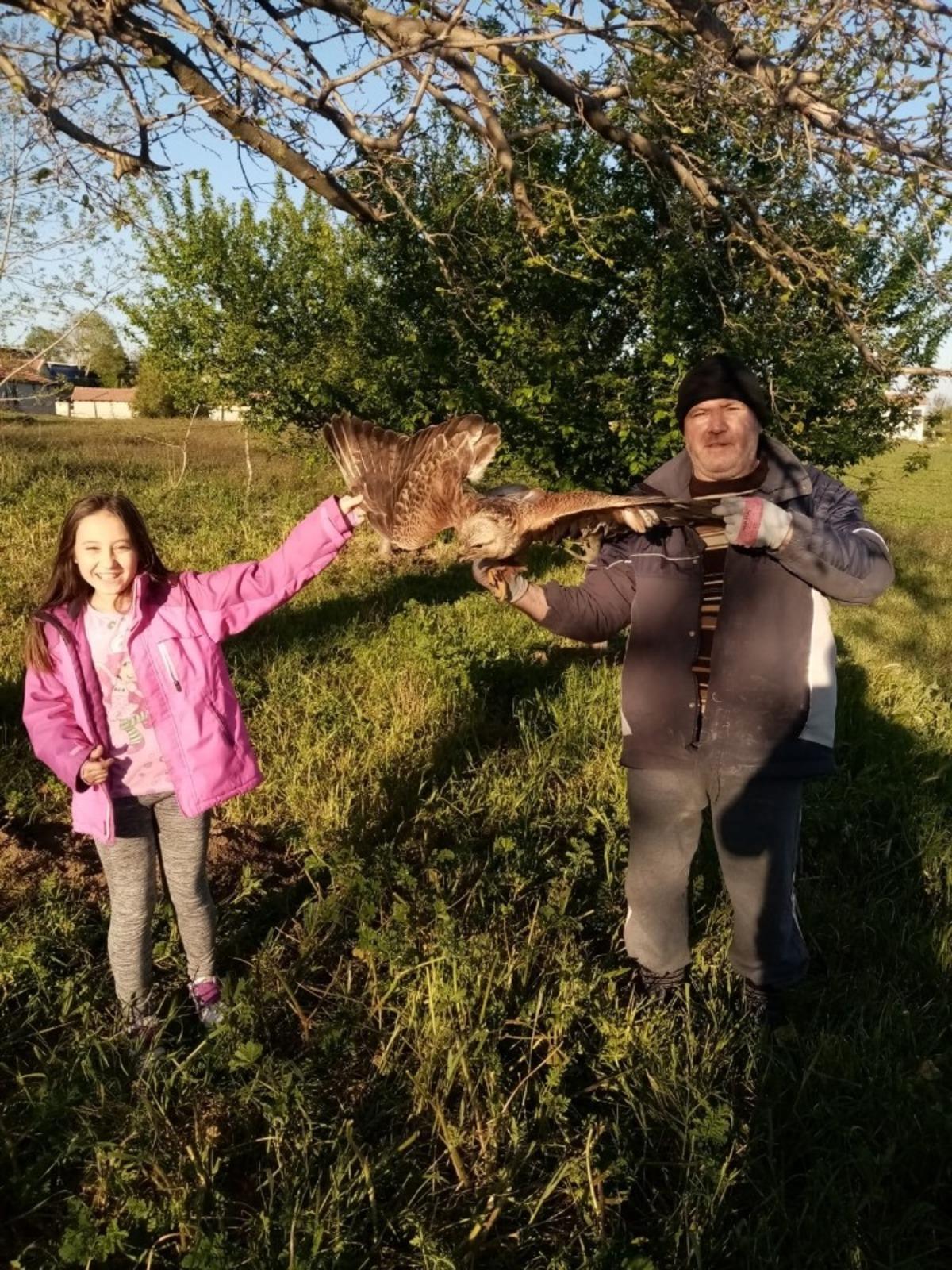 Tarlasına giderken g&ouml;rd&uuml;ğ&uuml; yaralı şahine sahip &ccedil;ıktı