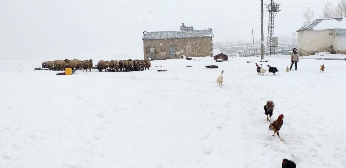Van&rsquo;da Nisan ayında kar s&uuml;rprizi