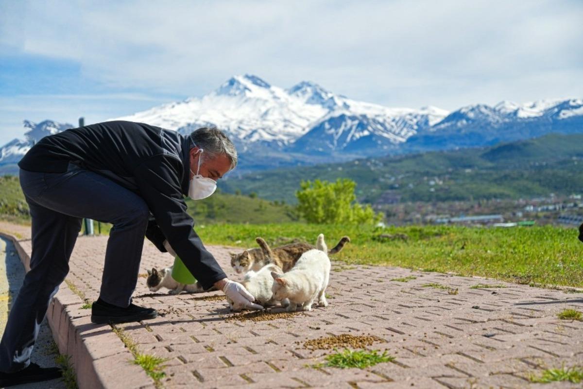 Tarım İl M&uuml;d&uuml;rl&uuml;ğ&uuml; sokak hayvanlarını unutmadı