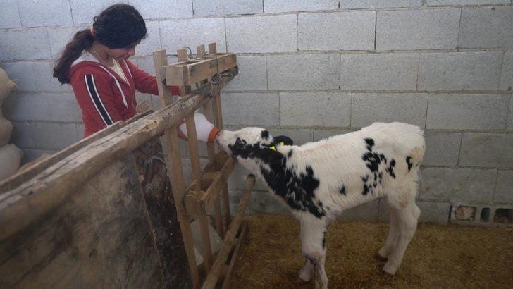 Hayvan yetiştiricilerine destek sürüyor G2