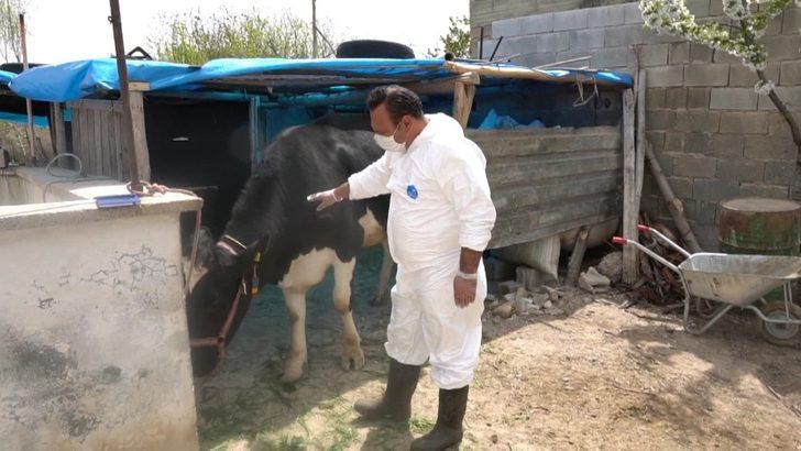 Hayvan yetiştiricilerine destek sürüyor G3