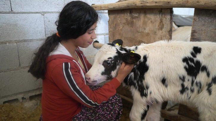 Hayvan yetiştiricilerine destek sürüyor G4