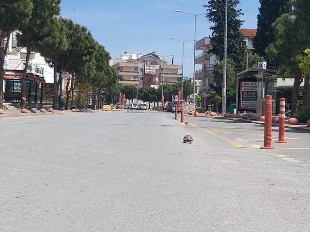 Kısıtlamayı fırsat bildi, sokak sokak gezdi