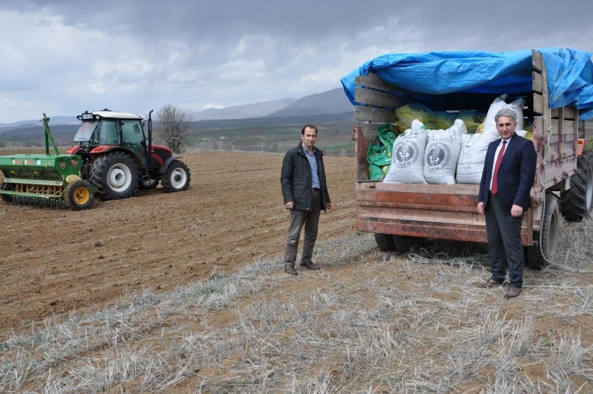 G&uuml;m&uuml;şhane&rsquo;de &uuml;reticilere 160 ton yem bitkisi tohumu dağıtıldı