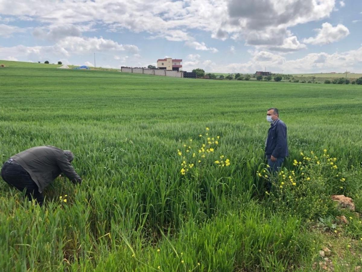 Diyarbakır&rsquo;da s&uuml;ne ile m&uuml;cadele s&uuml;r&uuml;yor
