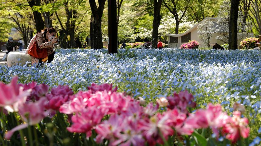 Parklara gidilmesini &ouml;nlemek i&ccedil;in &ccedil;i&ccedil;ekler budandı