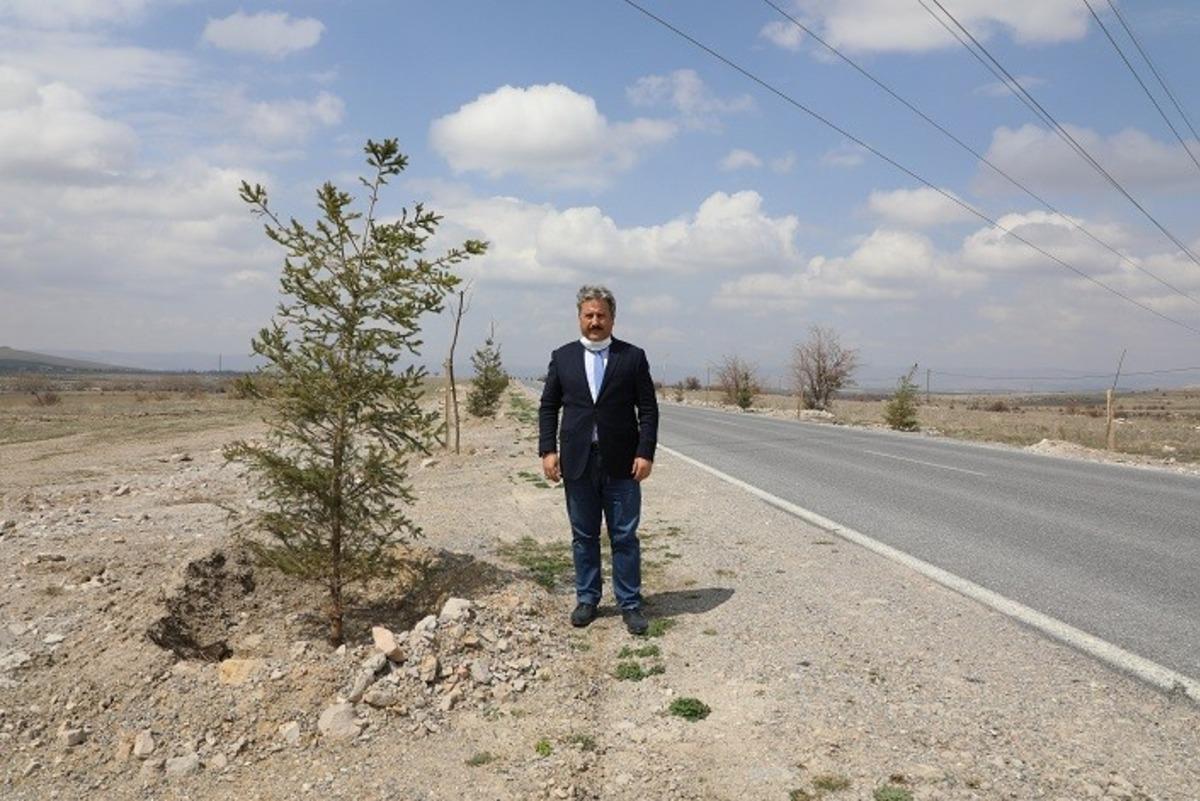 G&uuml;zelk&ouml;y ve G&uuml;rpınar yolu yeni ağa&ccedil;larla şenlenecek