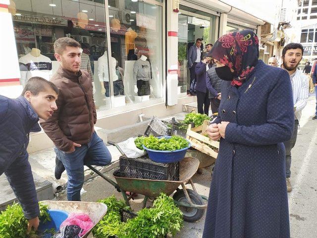 Silvan’da  sebze fideleri satışı başladı