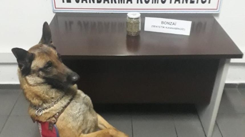 Uyuşturucudan 2 ş&uuml;pheli yakalandı