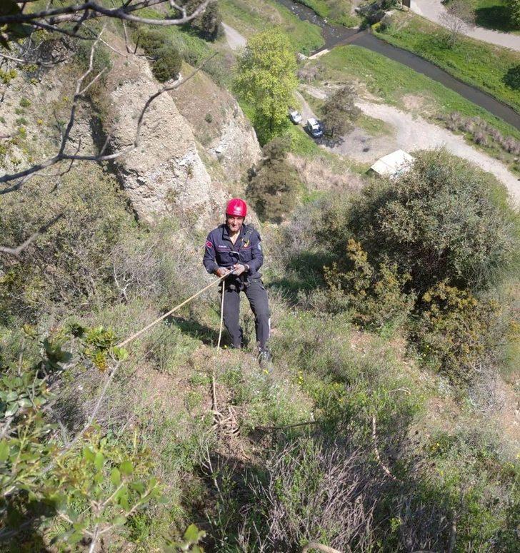 Mahsur kalan keçiyi itfaiye kurtardı G1