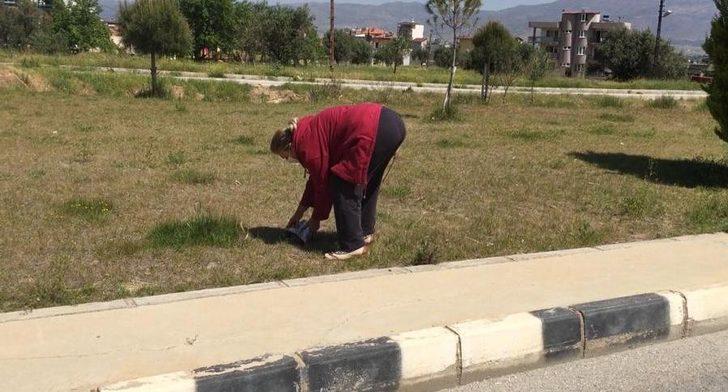 Issız sokaklar kaplumbağaya kaldı G2