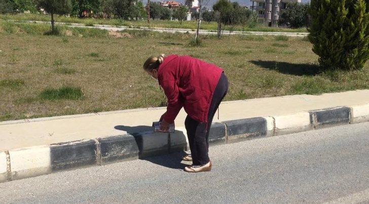 Issız sokaklar kaplumbağaya kaldı G3