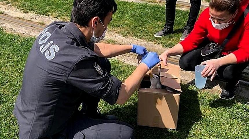 Polis memuru, a&ccedil; martının imdadına yetişti