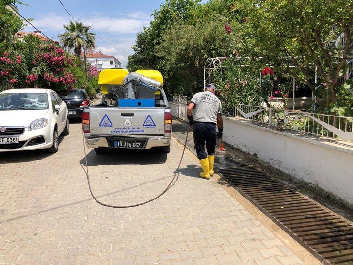 Burhaniye’de sivrisinek mücadelesi devam ediyor G2