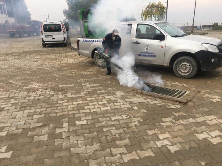 Burhaniye’de sivrisinek mücadelesi devam ediyor G4