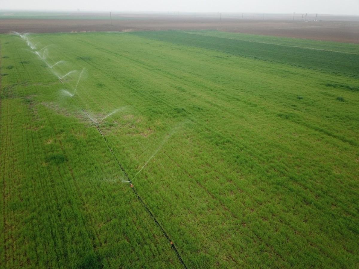 Eskişehir&rsquo;de sulama sezonu başladı