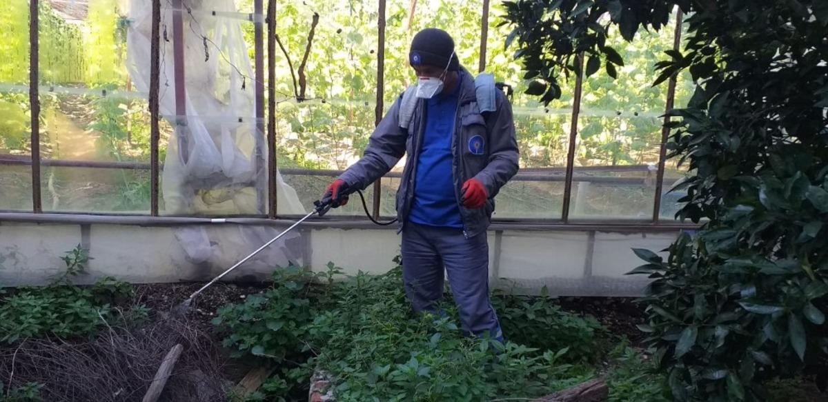 B&uuml;y&uuml;kşehir Demre&rsquo;yi yaza hazırlıyor