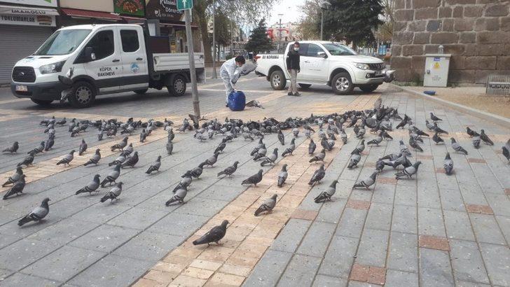 Doğa Koruma ve Milli Parklar Müdürlüğü hayvanları unutmadı G1