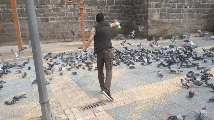 Doğa Koruma ve Milli Parklar Müdürlüğü hayvanları unutmadı G2