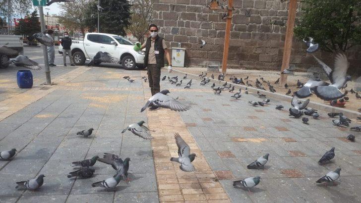 Doğa Koruma ve Milli Parklar Müdürlüğü hayvanları unutmadı G3