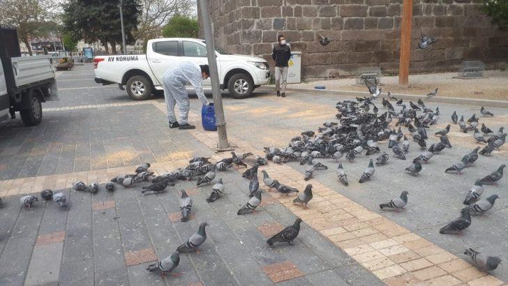 Doğa Koruma ve Milli Parklar Müdürlüğü hayvanları unutmadı G4