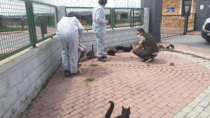 Doğa Koruma ve Milli Parklar Müdürlüğü hayvanları unutmadı G5