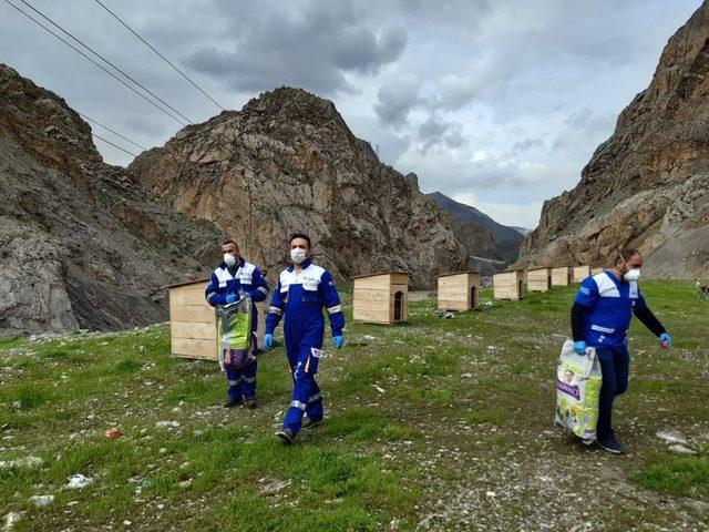 Hakkari’de sokak hayvanları unutulmadı