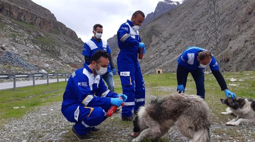 Hakkari&rsquo;de sokak hayvanları unutulmadı
