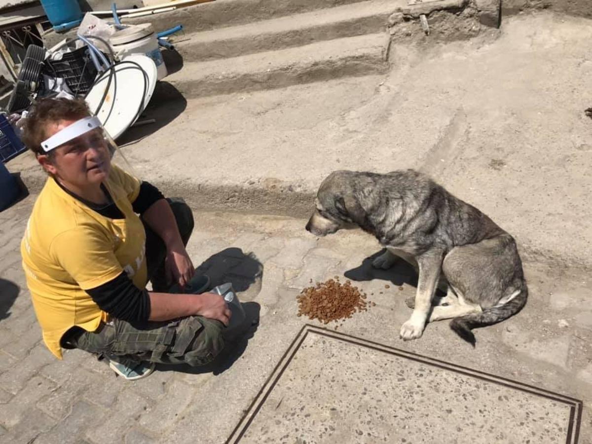 AHBAP&rsquo;tan sokak hayvanlarına mama yardımı