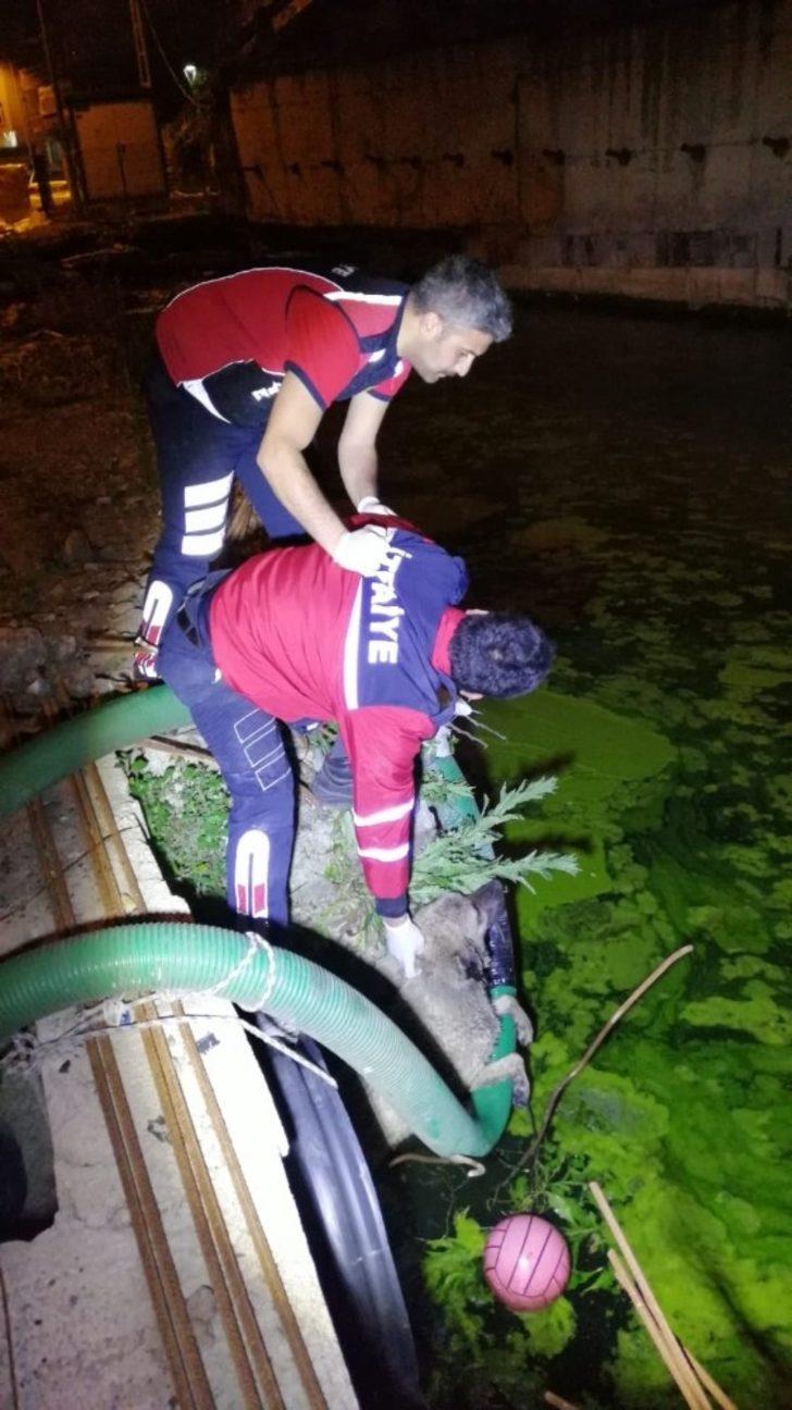 Sıkıştığı yerden kurtulamayan köpeğin imdadına itfaiye yetişti G2