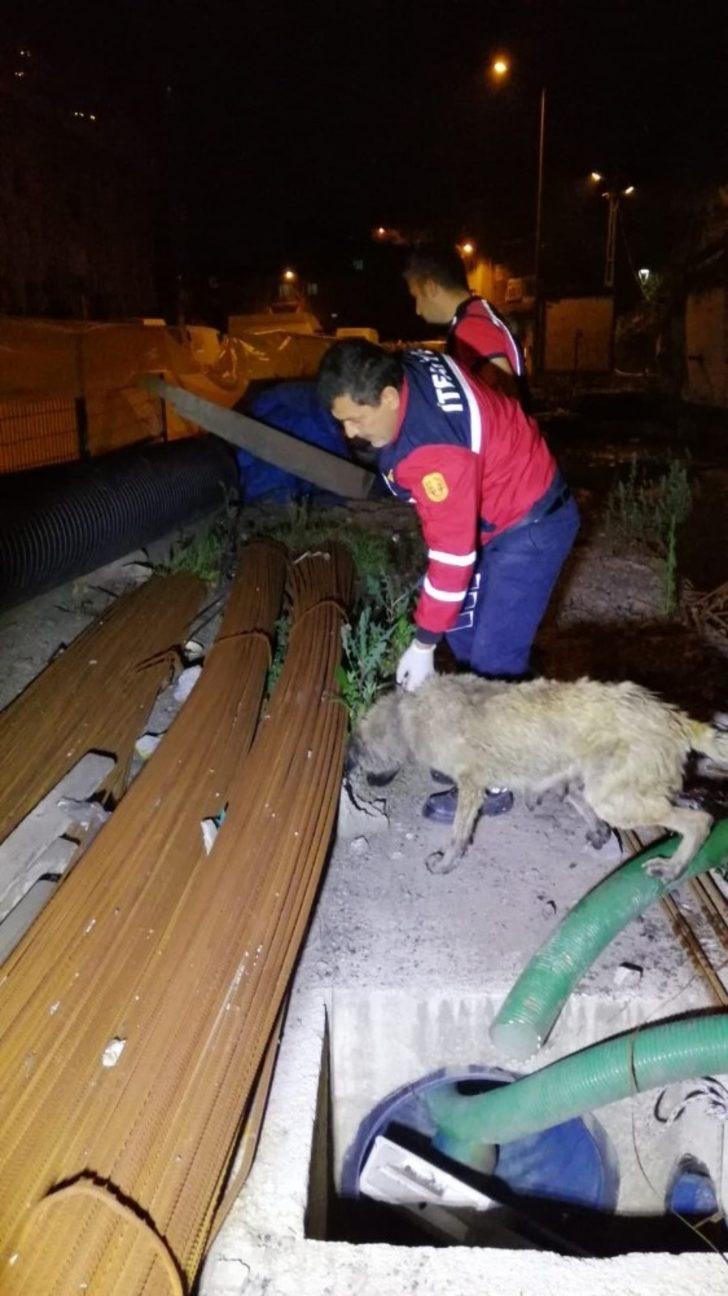 Sıkıştığı yerden kurtulamayan köpeğin imdadına itfaiye yetişti G3