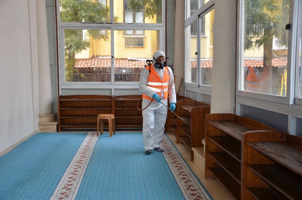 Antalya&rsquo;da sinekle m&uuml;cadele devam ediyor