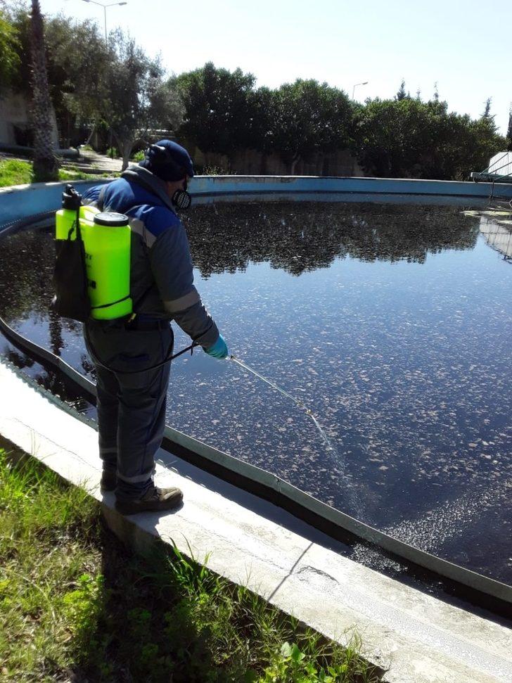 Antalya’da sinekle mücadele devam ediyor G5