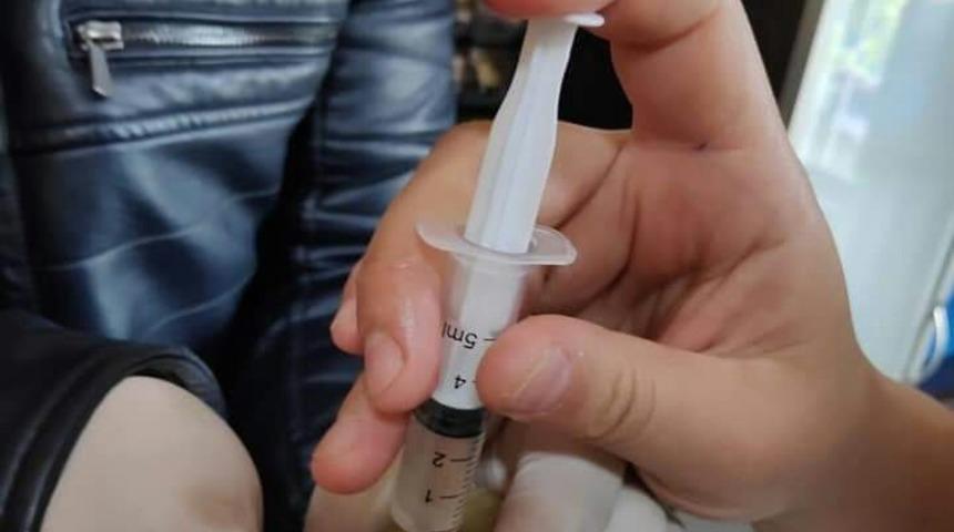 Yaralı kuş tedavi altına alındı