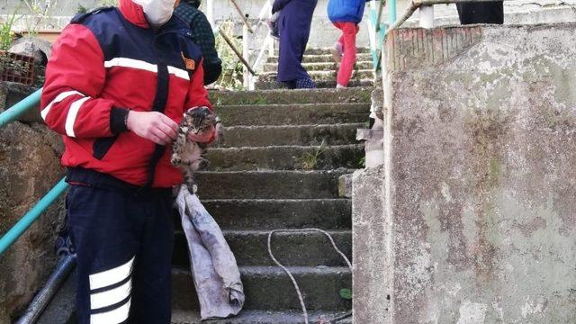 Gidere sıkışan yavru kediyi itfaiye kurtardı