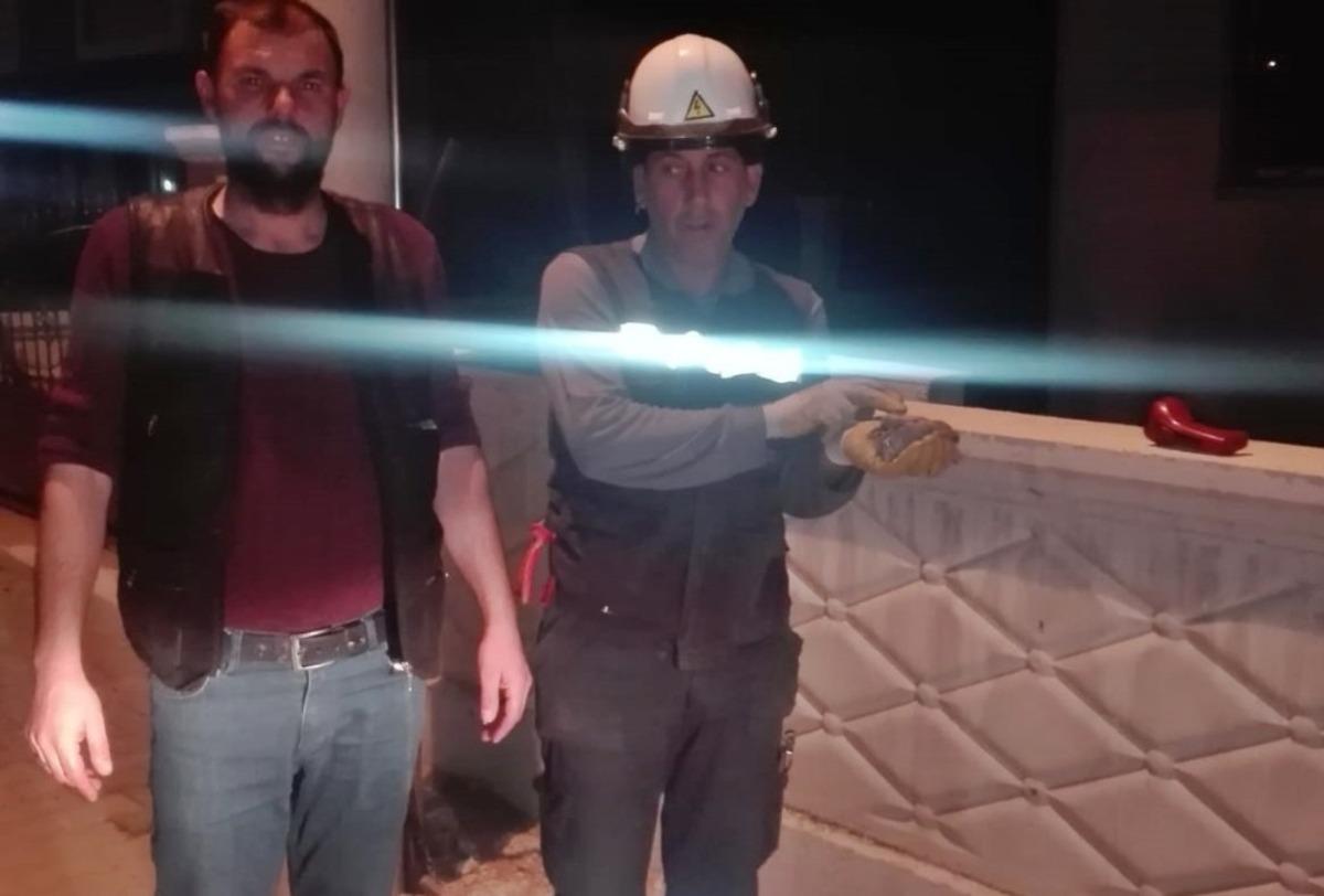 Yuvadan d&uuml;şen yavru kumru sepetli ara&ccedil; ile yeniden yuvaya konuldu