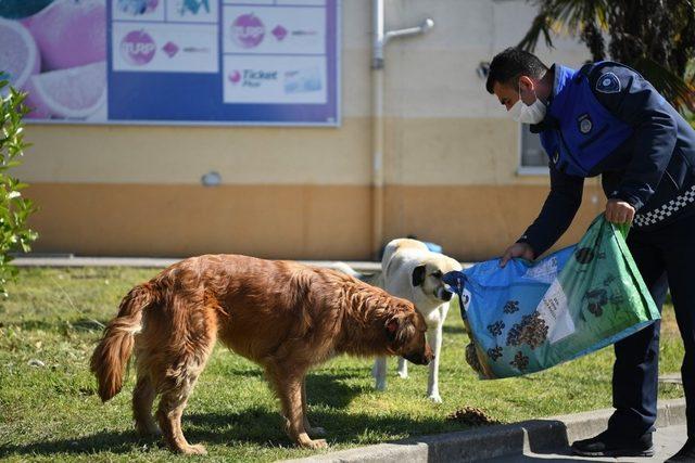 Kartepe’de sokak hayvanları unutulmuyor