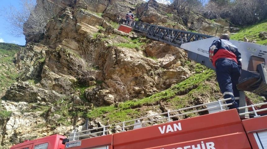 Kayalıkta mahsur kalan ke&ccedil;i itfaiye tarafından kurtarıldı