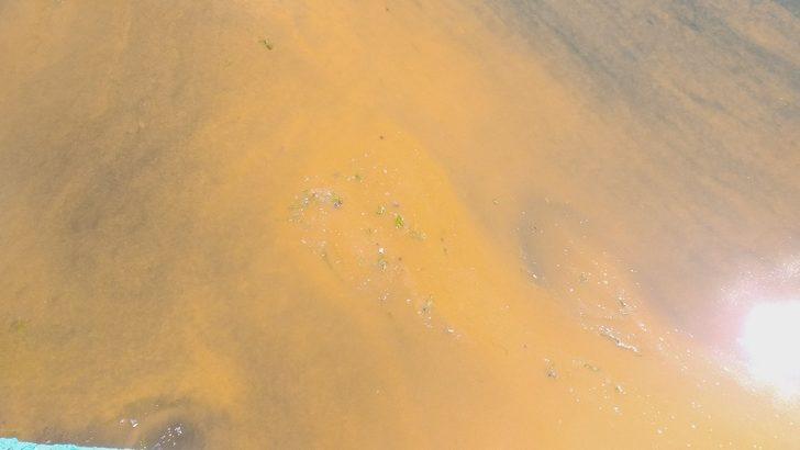 Marmara'da korkutan görüntü! Deniz turuncuya büründü G1