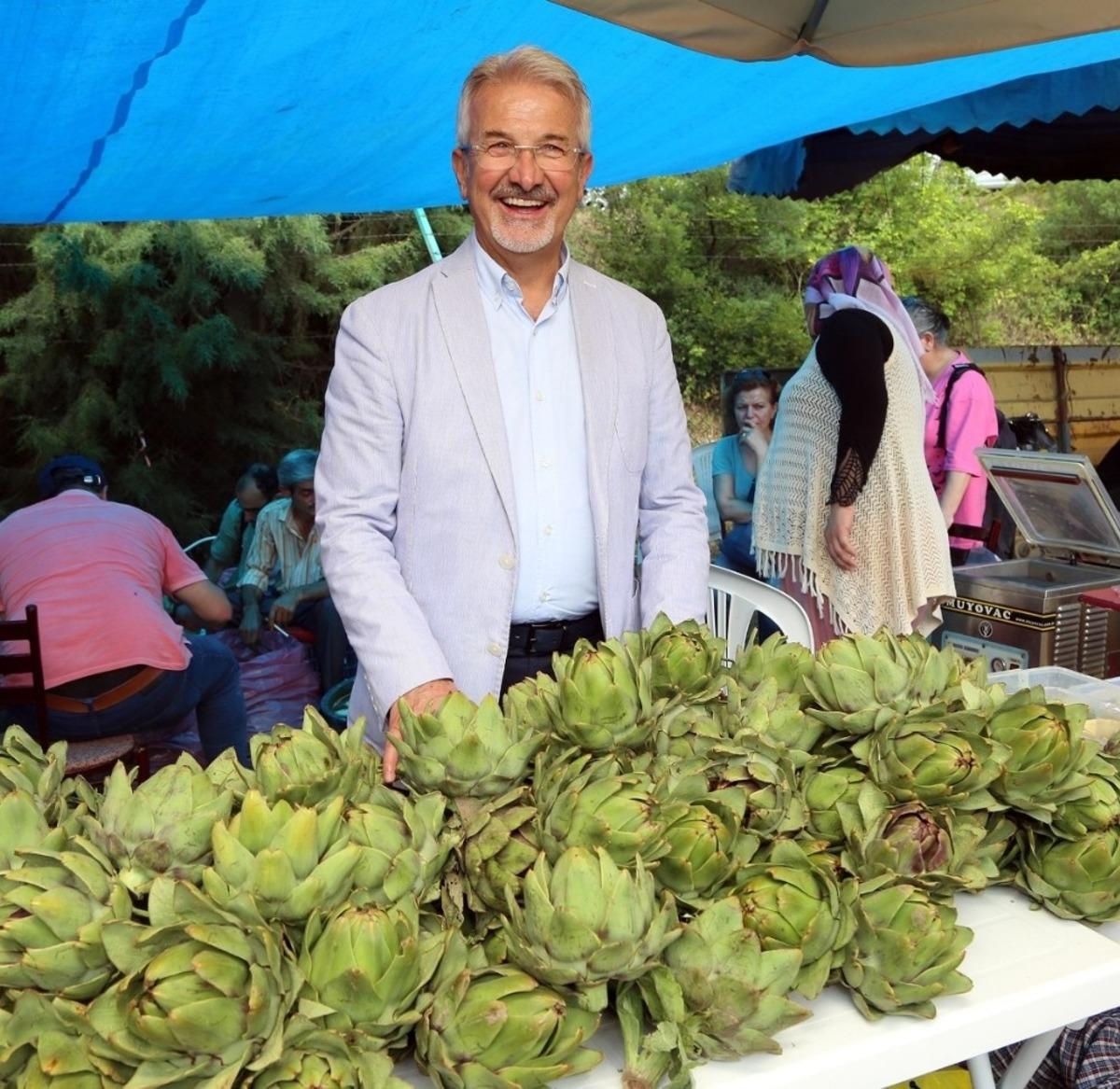 Hasanağa enginarı coğrafi işaret tescili aldı