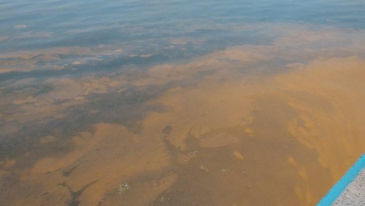 Marmara'da korkutan görüntü! Deniz turuncuya büründü G4