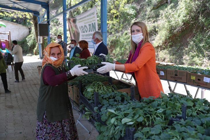 Merkezefendi Belediyesi 120 bin sebze fidesi dağıtımına başladı G1