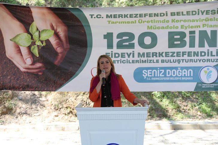 Merkezefendi Belediyesi 120 bin sebze fidesi dağıtımına başladı G2