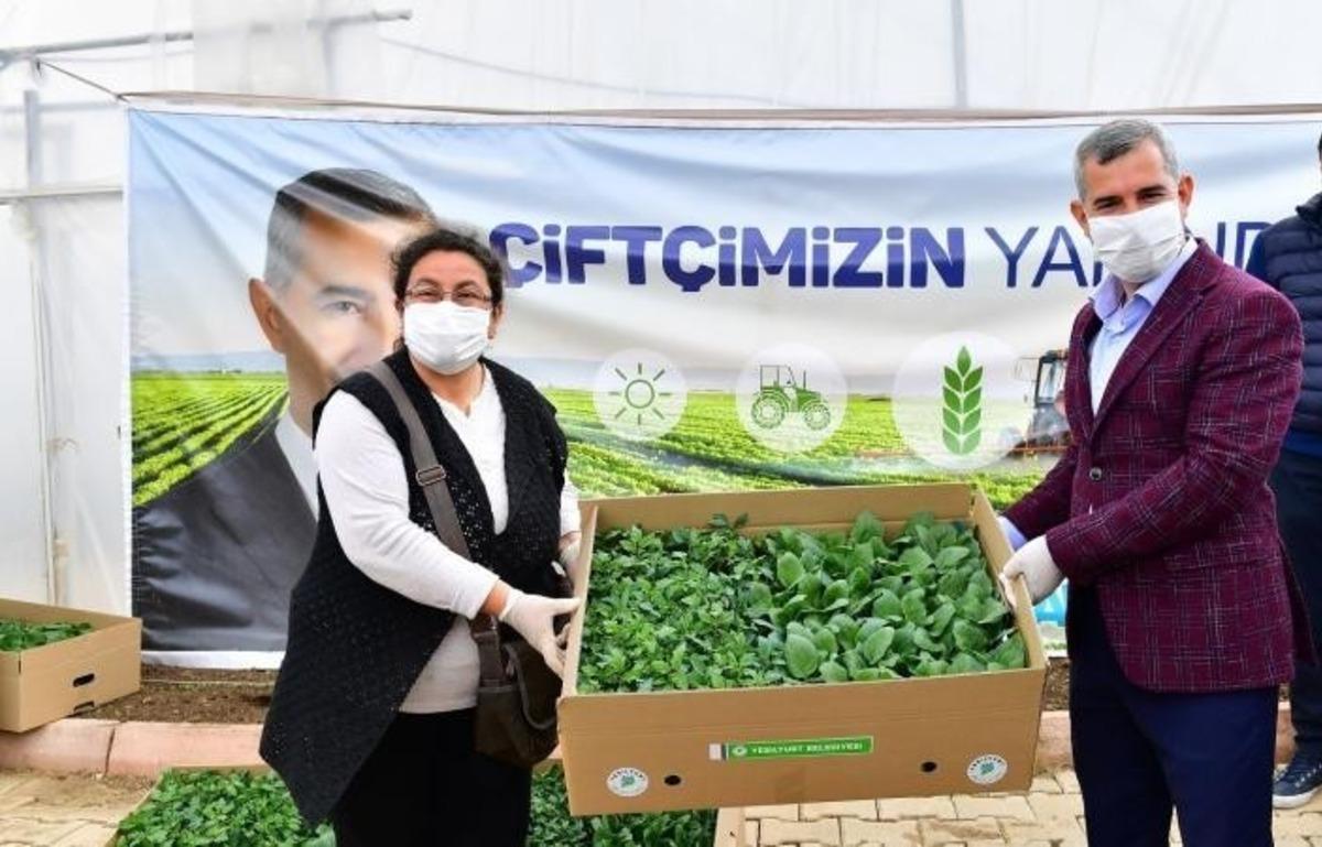 Yeşilyurt&rsquo;ta 100 bin sebze fidesi dağıtımına başlandı
